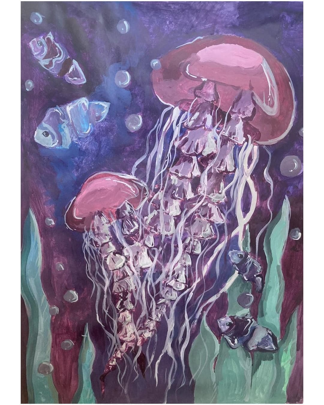 Lumea meduzelor