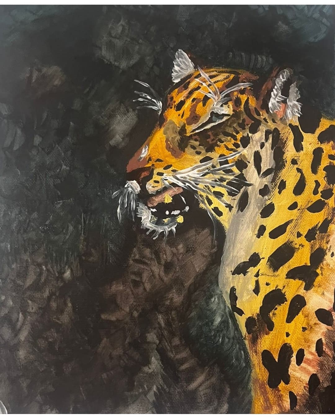 Leopard