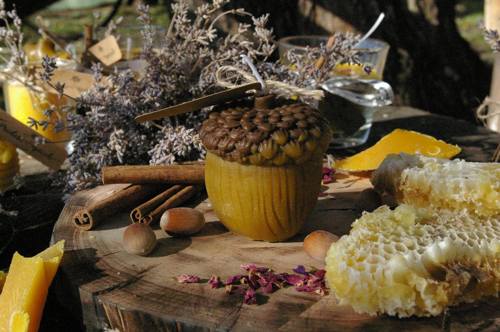 Ghindă de ceară